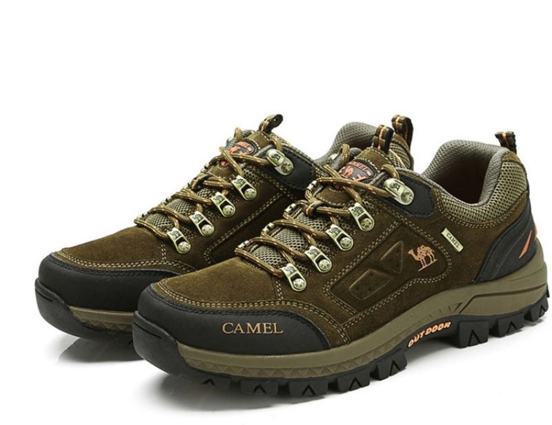 Vyriški Alpinizmo Batai "Camel"